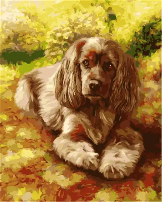 DRAWJOY Framed Pictures Painting & Calligraphy Animals Dog DIY Painting By Numbers On Canvas Oil Painting Home Decor
DRAWJOY Framed Pictures Painting & Calligraphy Animals Dog DIY Painting By Numbers On Canvas Oil Painting Home Decor