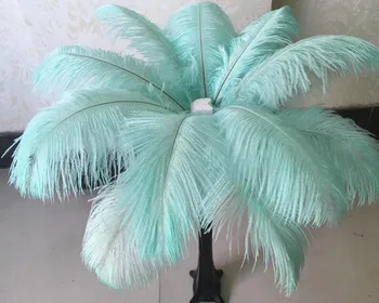 Hot! 300 pcs beautiful blue-green 18-20inches /45-50cm ostrich feathers DIY jewelry decoration / wedding celebration
Hot! 300 pcs beautiful blue-green 18-20inches /45-50cm ostrich feathers DIY jewelry decoration / wedding celebration