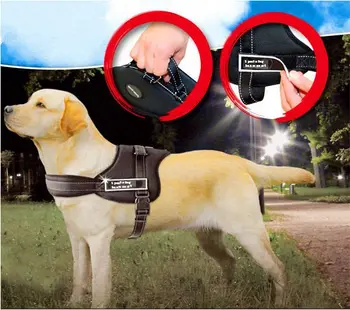 Nylon Padded Service Sports Training Dog Harness Large Pet Chest Straps Heavy Duty Pitbull Husky Boxer Adjustable Safety Walking
Nylon Padded Service Sports Training Dog Harness Large Pet Chest Straps Heavy Duty Pitbull Husky Boxer Adjustable Safety Walking