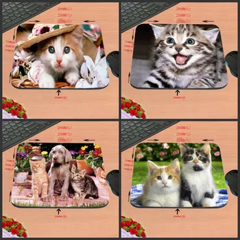Cats And Dogs Are Friends DIY Custom,High-Definition Computer Mouse Pad, Non-Slip Rubber Rectangle Decorate Your Desk, As A
Cats And Dogs Are Friends DIY Custom,High-Definition Computer Mouse Pad, Non-Slip Rubber Rectangle Decorate Your Desk, As A