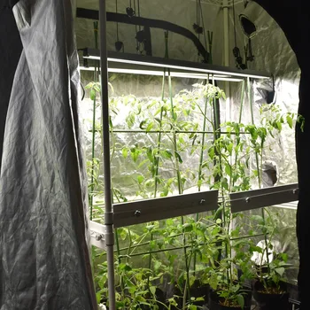 Medicinal plants 48W Ultimate Light LED Grow Light 336W LED Full Spectrum 
Medicinal plants 48W Ultimate Light LED Grow Light 336W LED Full Spectrum