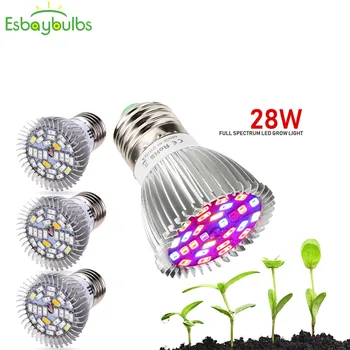 4Pcs/Lot Full Spectrum Grow Lamp 28W E27 LED Grow Light GU10 E14 LED Plant Grow Light Lamps For Seeds hydro Flower hydroponics
4Pcs/Lot Full Spectrum Grow Lamp 28W E27 LED Grow Light GU10 E14 LED Plant Grow Light Lamps For Seeds hydro Flower hydroponics