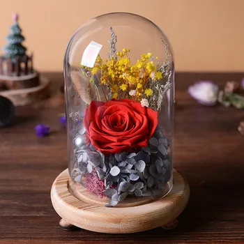 12*22cm Three- Leg Log Base Glass Dome Home Decoration Vase Diameter=12cm Height=22cm Glass Dome Friend Gift Wedding Decoration
12*22cm Three- Leg Log Base Glass Dome Home Decoration Vase Diameter=12cm Height=22cm Glass Dome Friend Gift Wedding Decoration
