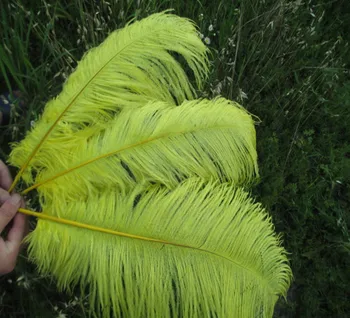 wholesale hard rods natural 50 pcs/lot 16-18 inch 40-45 cm" yellow fluffy Ostrich Feather Plume wedding decoration
wholesale hard rods natural 50 pcs/lot 16-18 inch 40-45 cm" yellow fluffy Ostrich Feather Plume wedding decoration