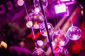 30 PCS/lot Transparent Acrylic Ball Vase Bowl Hanging Air Plant Terrariums plastic Candle Container Home Wedding Party decor
30 PCS/lot Transparent Acrylic Ball Vase Bowl Hanging Air Plant Terrariums plastic Candle Container Home Wedding Party decor