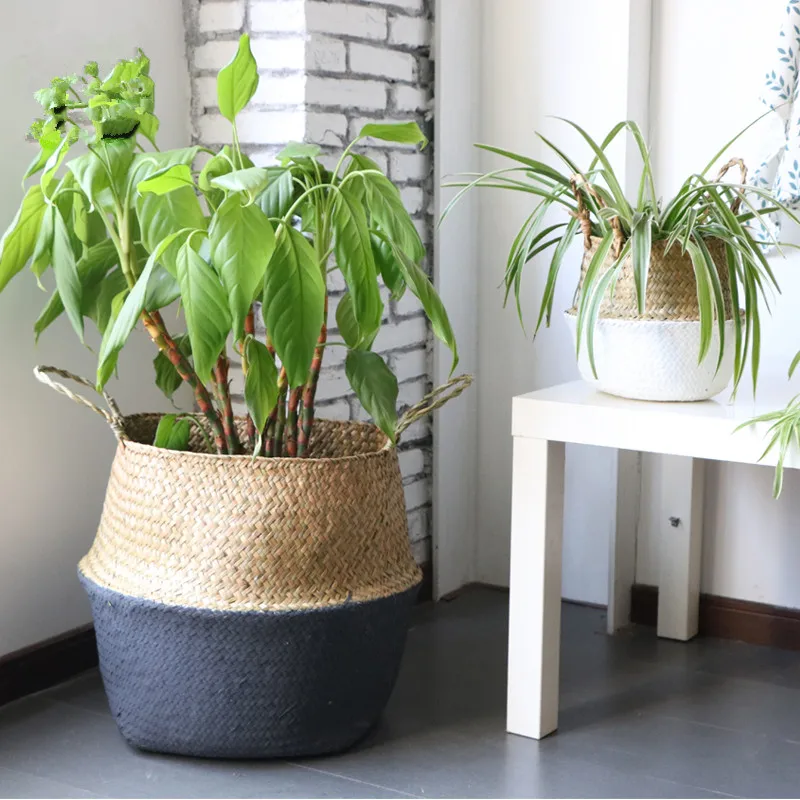 S/M/L Handmade Seagrass Rattan Basket Straw Foldable Flower Pot Vase Wicker Storage Basket Belly Laundry Hamper with Handle
S/M/L Handmade Seagrass Rattan Basket Straw Foldable Flower Pot Vase Wicker Storage Basket Belly Laundry Hamper with Handle