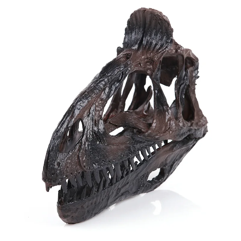 Dinosaur skull resin skeleton personality home furnishings personality decoration home decoration medical teaching
Dinosaur skull resin skeleton personality home furnishings personality decoration home decoration medical teaching