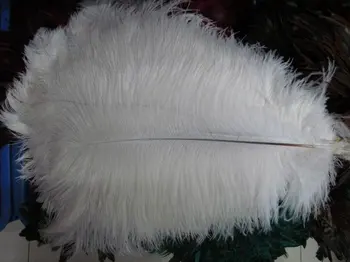 20pcs/lot,12-"14" inches length,ostrich feathers for wedding decor,Wholesale prices!
20pcs/lot,12-"14" inches length,ostrich feathers for wedding decor,Wholesale prices!