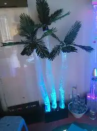 Custom: water column light. Bubble water bead light. Water dance light LED light coconut tree with remote control
Custom: water column light. Bubble water bead light. Water dance light LED light coconut tree with remote control