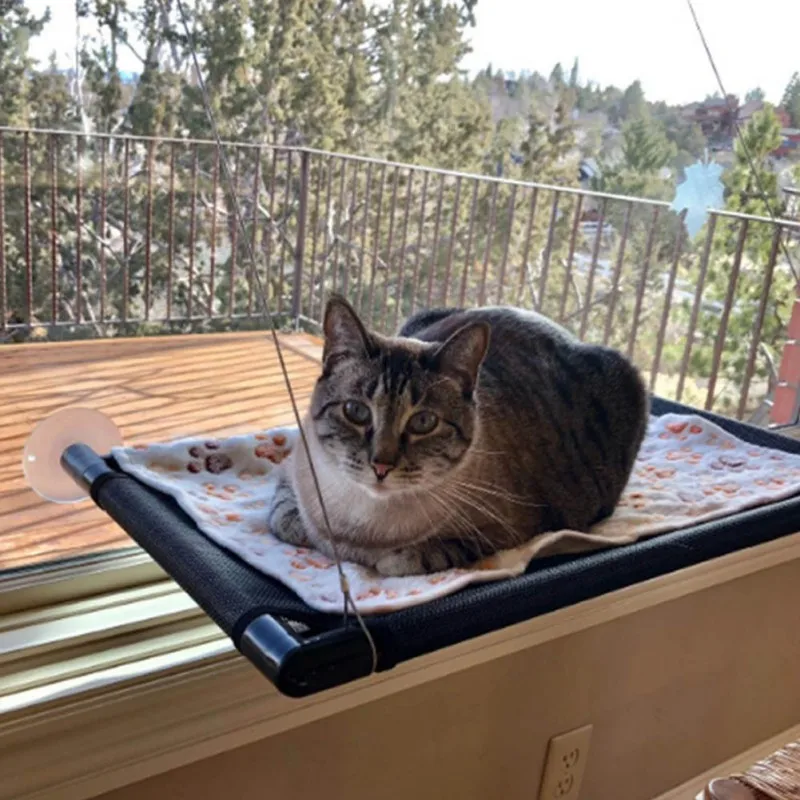 Cat Window Perch Suction Cups Hammock Detachable Washable Hanging Pet Bed For Cats soft Hanging Sleeping Pad Pet Window Perch
Cat Window Perch Suction Cups Hammock Detachable Washable Hanging Pet Bed For Cats soft Hanging Sleeping Pad Pet Window Perch