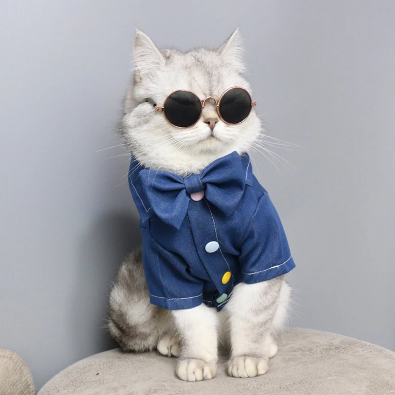 Cat Clothes Summer Cat Vest Cat Clothes for Small Dogs Ropa Para Gatos Invierno Clothes for A Cat Ropa Gato
Cat Clothes Summer Cat Vest Cat Clothes for Small Dogs Ropa Para Gatos Invierno Clothes for A Cat Ropa Gato