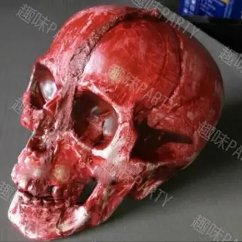 Skeleton Head Modeling Resin Skeleton Head Skull Halloween Props Home Furnishing Decoration
Skeleton Head Modeling Resin Skeleton Head Skull Halloween Props Home Furnishing Decoration