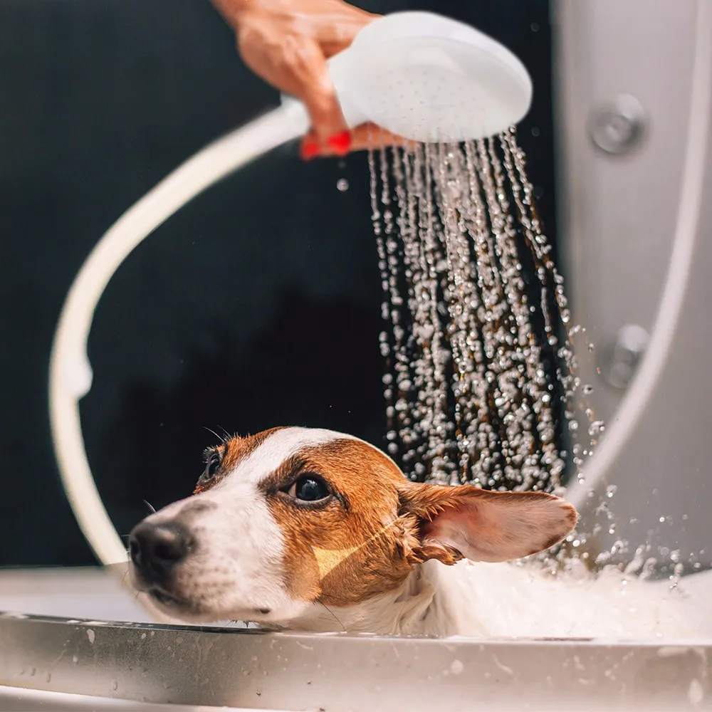 

New Pet Dog Cat Shower Head Multi-functional Tap Faucet Spray Drains Strainer Hose Sink Washing Hair Pets Lave Water Bath Heads