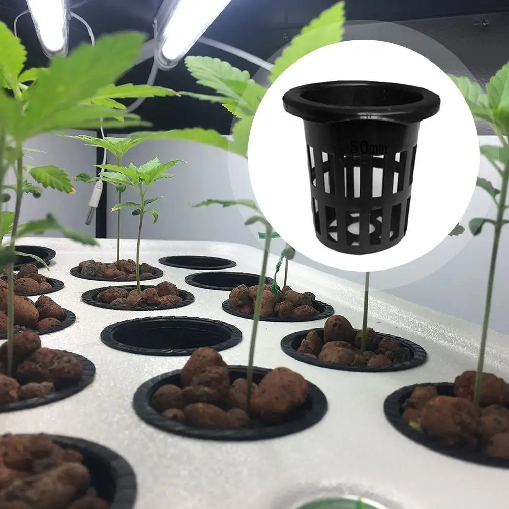 20 pcs/set Heavy Duty Mesh Pot Net Cup Basket Hydroponic Aeroponic Plant Grow Garden Garden Tools (20 baskets + 20 labels)
20 pcs/set Heavy Duty Mesh Pot Net Cup Basket Hydroponic Aeroponic Plant Grow Garden Garden Tools (20 baskets + 20 labels)