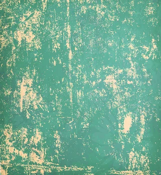 Green Wall Cracks Photography Backgrounds Vinyl cloth High quality Computer printed wall backdrops
Green Wall Cracks Photography Backgrounds Vinyl cloth High quality Computer printed wall backdrops
