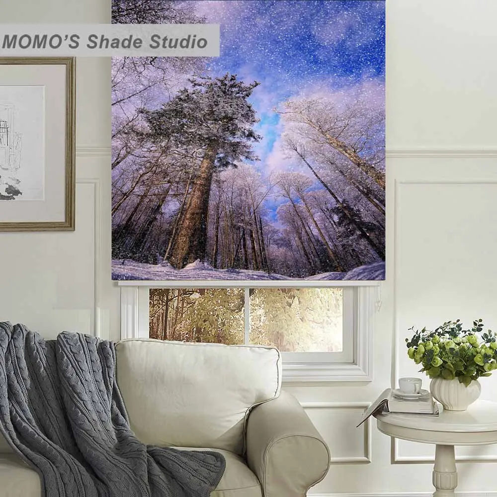 MOMO Christmas Roller Blinds Blackout Design Window Painting Curtains Shades Fabric Custom Size PRB set509 | Дом и сад