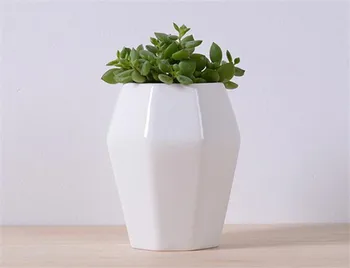 Simple White Ceramic Octagon shape Flower Pot ,Table Small Succulents Flowerpot Green Planter Home Living Room Decoration
Simple White Ceramic Octagon shape Flower Pot ,Table Small Succulents Flowerpot Green Planter Home Living Room Decoration
