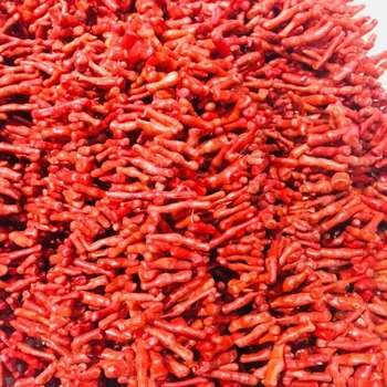 JYX Wholesale 18-60mm Irregular Red Coral Beads Loose String Strands DIY Handmade Gemstone 15.5"
JYX Wholesale 18-60mm Irregular Red Coral Beads Loose String Strands DIY Handmade Gemstone 15.5"