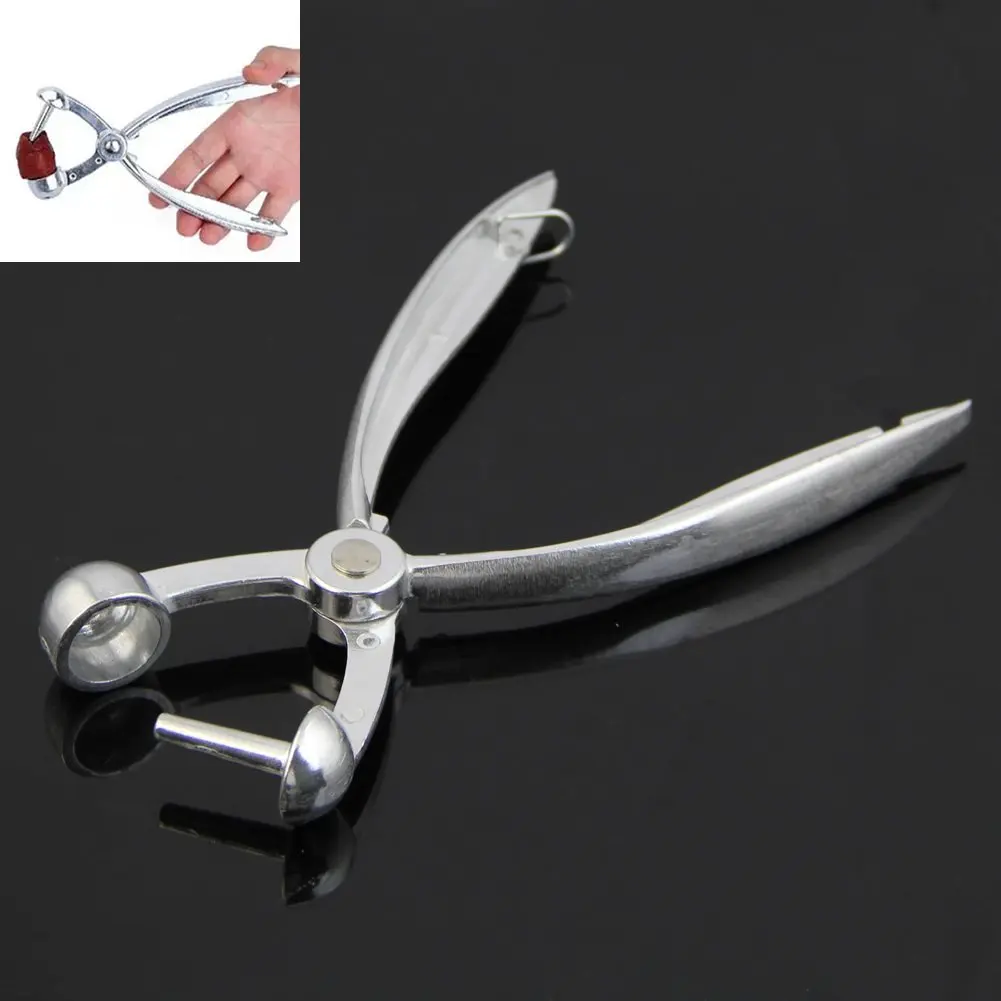 PHFU HeroNeo Aluminum Cherry Pitter Dates Olives Pit Easy Removal Core Squeeze Clamp Seeder
PHFU HeroNeo Aluminum Cherry Pitter Dates Olives Pit Easy Removal Core Squeeze Clamp Seeder