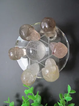 Natural Smoky Quartz Crystal C Quartz Crystal Skulls Chakra Healing Reiki Crystal Seven Array Feng Shui Decoration 440g
Natural Smoky Quartz Crystal C Quartz Crystal Skulls Chakra Healing Reiki Crystal Seven Array Feng Shui Decoration 440g