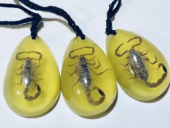 FREE SHIPPING yqtdmy 12 pcs Exquisite Scorpion King Choker Personalized Pendant Ornaments
FREE SHIPPING yqtdmy 12 pcs Exquisite Scorpion King Choker Personalized Pendant Ornaments