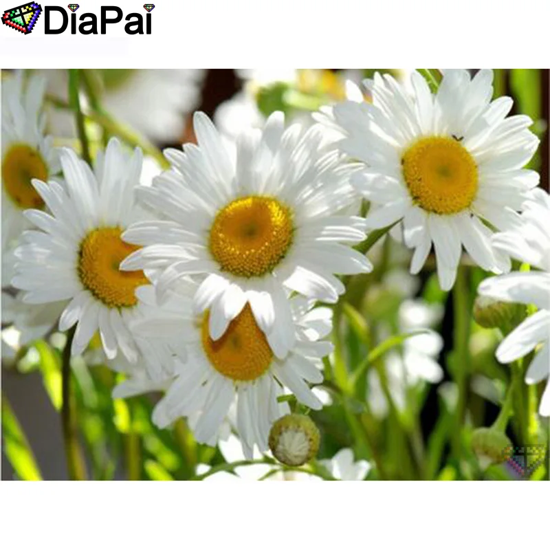DIAPAI 100% Full Square/Round Drill 5D DIY Diamond Painting "Daisy flower" Diamond Embroidery Cross Stitch 3D Decor A21055
DIAPAI 100% Full Square/Round Drill 5D DIY Diamond Painting "Daisy flower" Diamond Embroidery Cross Stitch 3D Decor A21055