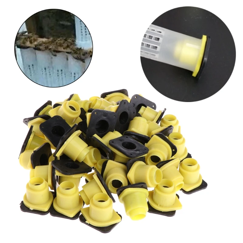 50 Pcs Beekeeping Tools Bee Queen King Cage Case Anti Bite Accessories Equipment
50 Pcs Beekeeping Tools Bee Queen King Cage Case Anti Bite Accessories Equipment