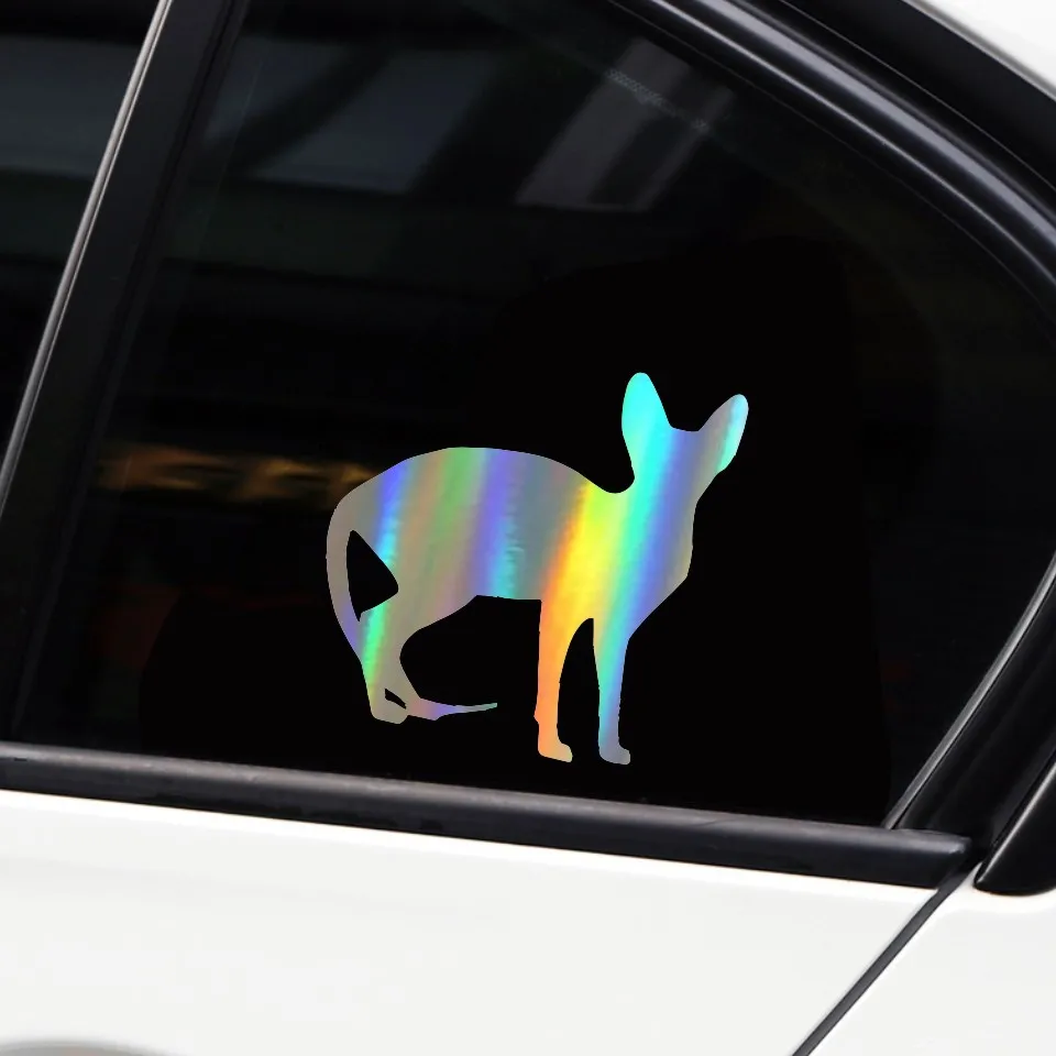 Anycuros Sphynx Cat Car Window Decorative Decals Funny Lovely Animal Car Stickers 11.512.1CM (10)