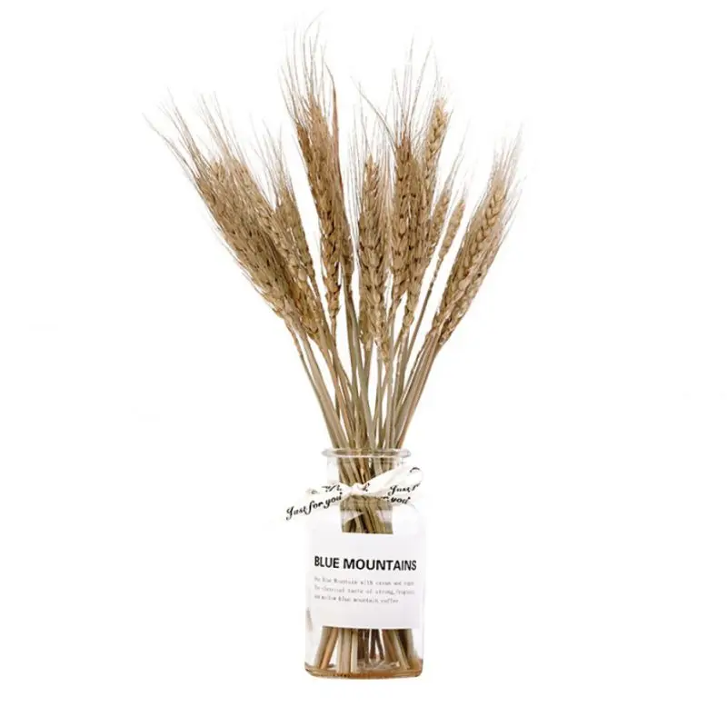 Natural Dried Cotton Flower Artificial Plants Flowers Colorfull Wheat Ear Flower Bouquet Long Bunches Base Wedding Decoration
Natural Dried Cotton Flower Artificial Plants Flowers Colorfull Wheat Ear Flower Bouquet Long Bunches Base Wedding Decoration