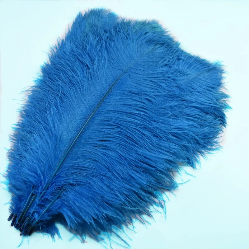 10Pcs/lot Lake blue Dyed ostrich feathers for crafts plume 15-70CM DIY Natural colored feathers jewelry Home Party Decoration
10Pcs/lot Lake blue Dyed ostrich feathers for crafts plume 15-70CM DIY Natural colored feathers jewelry Home Party Decoration