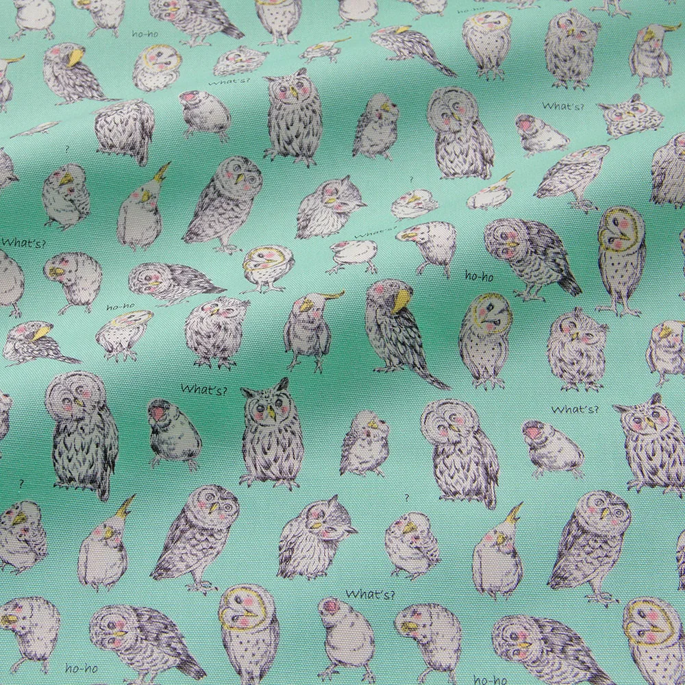 50cm*110cm Japanese KOKKA Oxford Cotton Fabric Patchwork Quilting Cloth Fabric Textile For Sewing Owl B
50cm*110cm Japanese KOKKA Oxford Cotton Fabric Patchwork Quilting Cloth Fabric Textile For Sewing Owl B