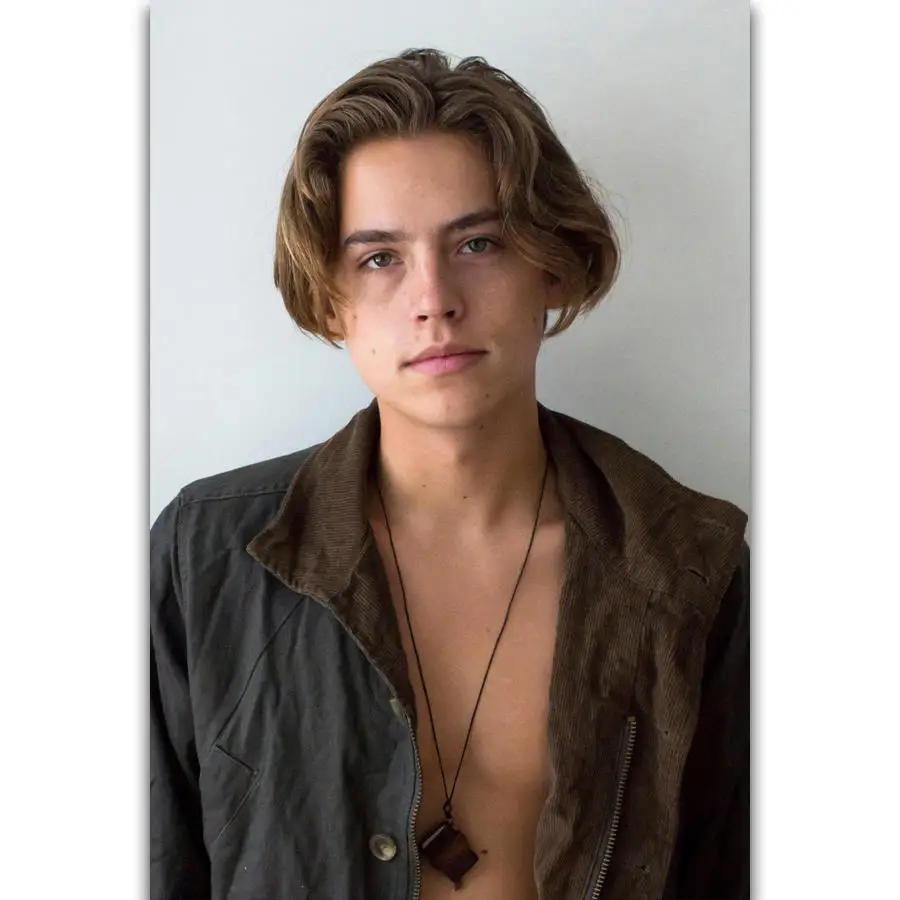 S281 Cole Sprouse Actor Movie Star Wall Art Painting Print On Silk Canvas Poster Home Decoration
S281 Cole Sprouse Actor Movie Star Wall Art Painting Print On Silk Canvas Poster Home Decoration
