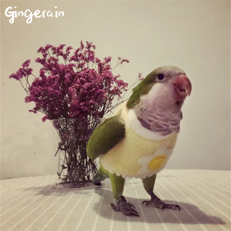 Gingerain Bird clothes Parrot clothes Small eggshell original hand-made custom bird clothes Hooded Sweater Small eggshell
Gingerain Bird clothes Parrot clothes Small eggshell original hand-made custom bird clothes Hooded Sweater Small eggshell