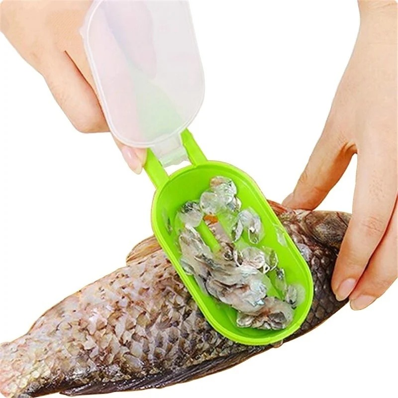 Cooking tools fish scraper stainless steel clean fish knife for cleaning fish skin Scaler kitchen tools Random color
Cooking tools fish scraper stainless steel clean fish knife for cleaning fish skin Scaler kitchen tools Random color
