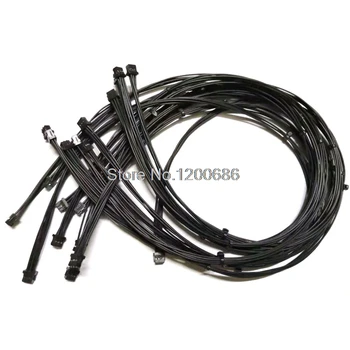 30CM P1-P1 P6-P6 DF11 Series DF11-6DS-2C 6 Position Housing Connector Black 0.079" (2.00mm) 2MM DUAL CRIMP
30CM P1-P1 P6-P6 DF11 Series DF11-6DS-2C 6 Position Housing Connector Black 0.079" (2.00mm) 2MM DUAL CRIMP