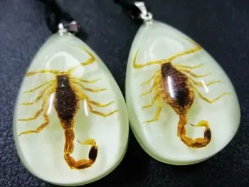 FREE SHIPPING YQTDMY 15 PCS Newest Fashion Spider Red Bean Glow Drop Simple Pendant
FREE SHIPPING YQTDMY 15 PCS Newest Fashion Spider Red Bean Glow Drop Simple Pendant