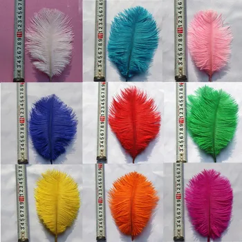 Wholesale Pluma de la avestruz high quality 15-20cm Natural Ostrich feathers white black red DIY series Home Wedding Decorations
Wholesale Pluma de la avestruz high quality 15-20cm Natural Ostrich feathers white black red DIY series Home Wedding Decorations