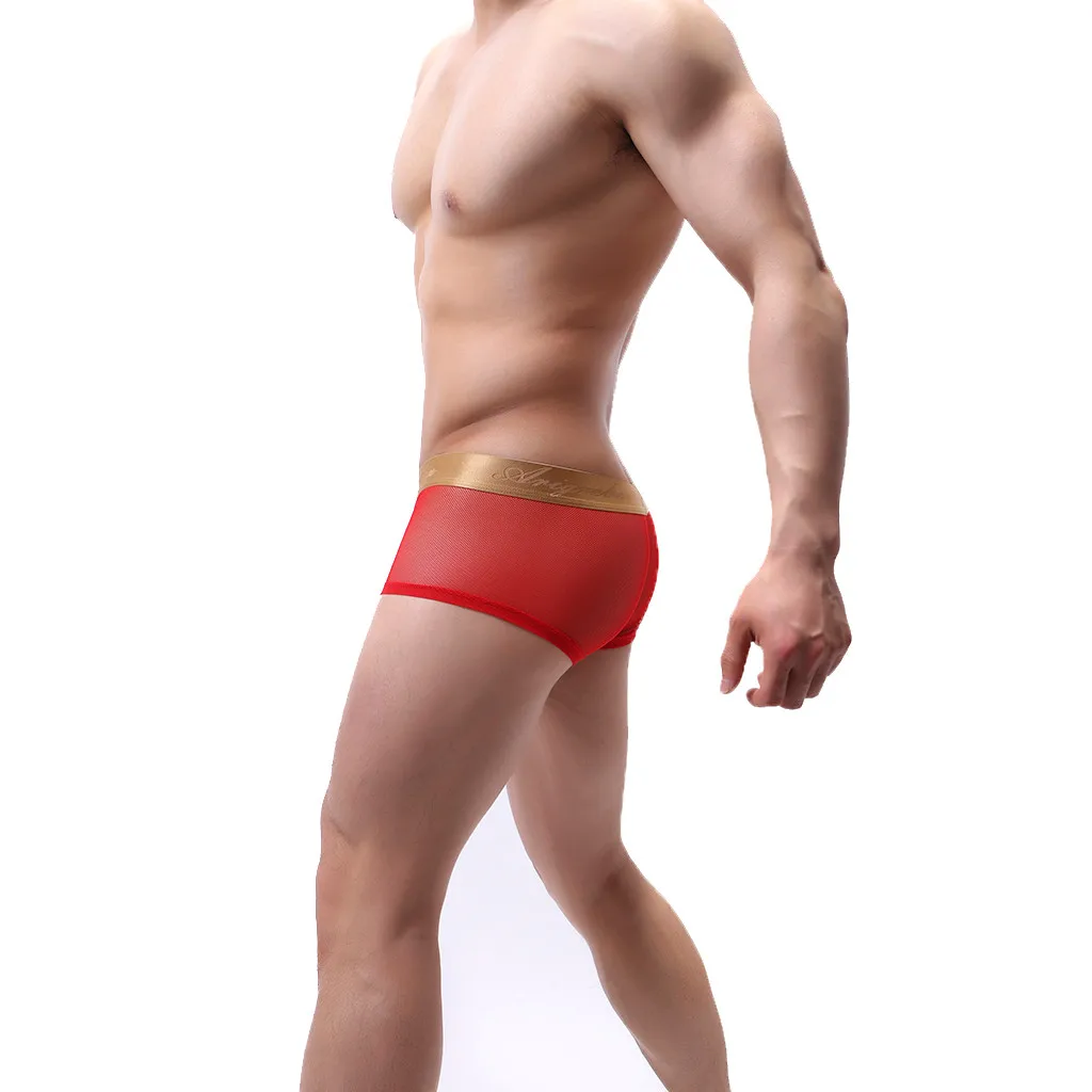 2019 HOT Sexy Men's Underwear Sexy Mens Lingerie Mesh See Through Transparent Underwear Briefs Soft Shorts Underpants Panties
2019 HOT Sexy Men's Underwear Sexy Mens Lingerie Mesh See Through Transparent Underwear Briefs Soft Shorts Underpants Panties