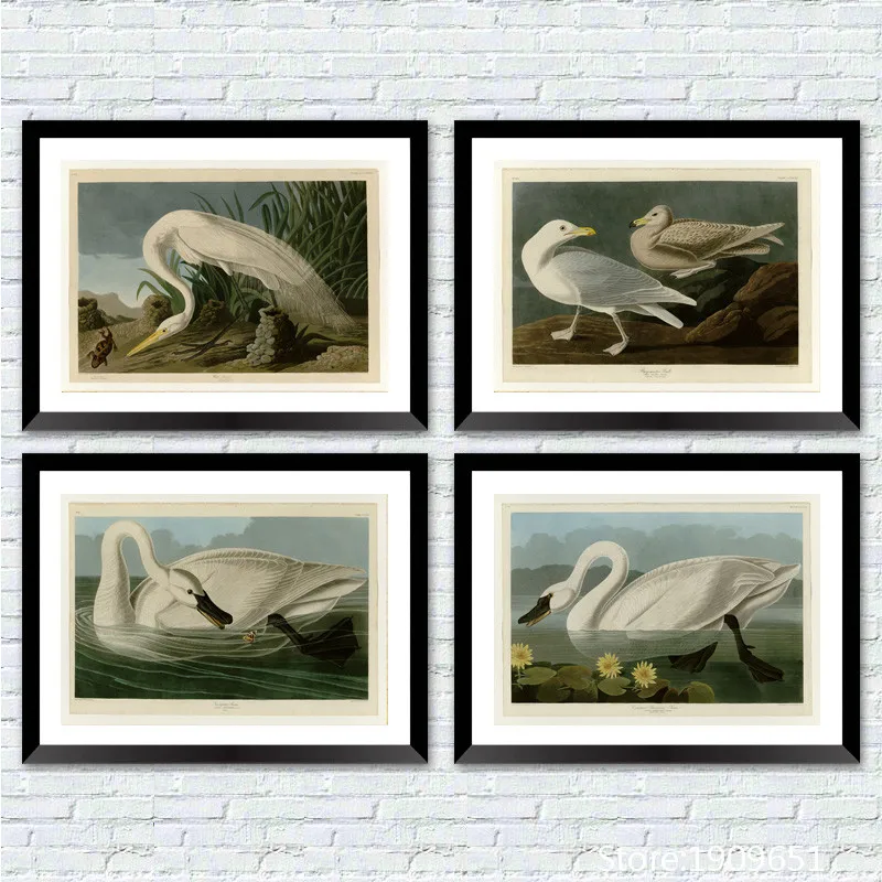 cotton no frame realist Audubon white birds scenery canvas printings oil painting printed on cotton wall art decoration picture
cotton no frame realist Audubon white birds scenery canvas printings oil painting printed on cotton wall art decoration picture