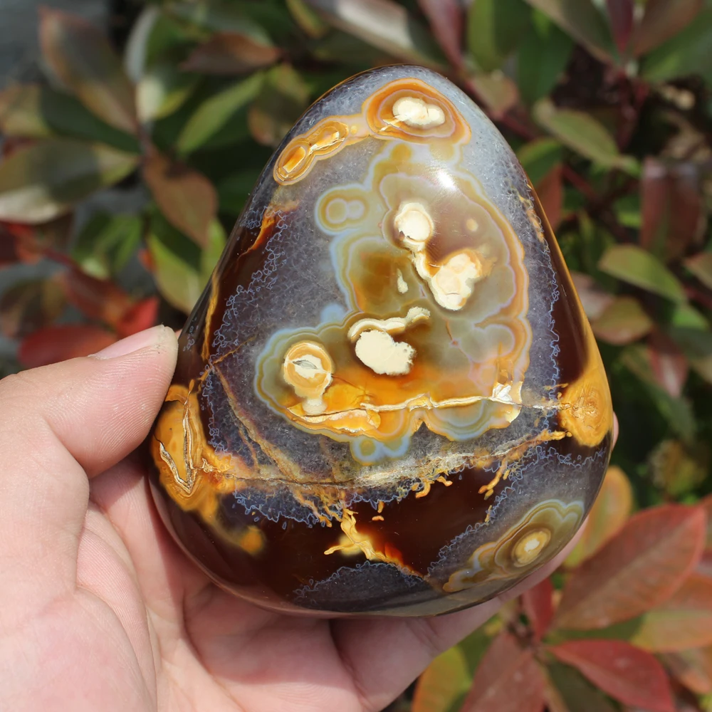 530g Beautiful Natural Polished Red agate Stone Sample QUARTZ CRYSTAL HEALING Aquatic Plants Madagascar Home decoration M03
530g Beautiful Natural Polished Red agate Stone Sample QUARTZ CRYSTAL HEALING Aquatic Plants Madagascar Home decoration M03