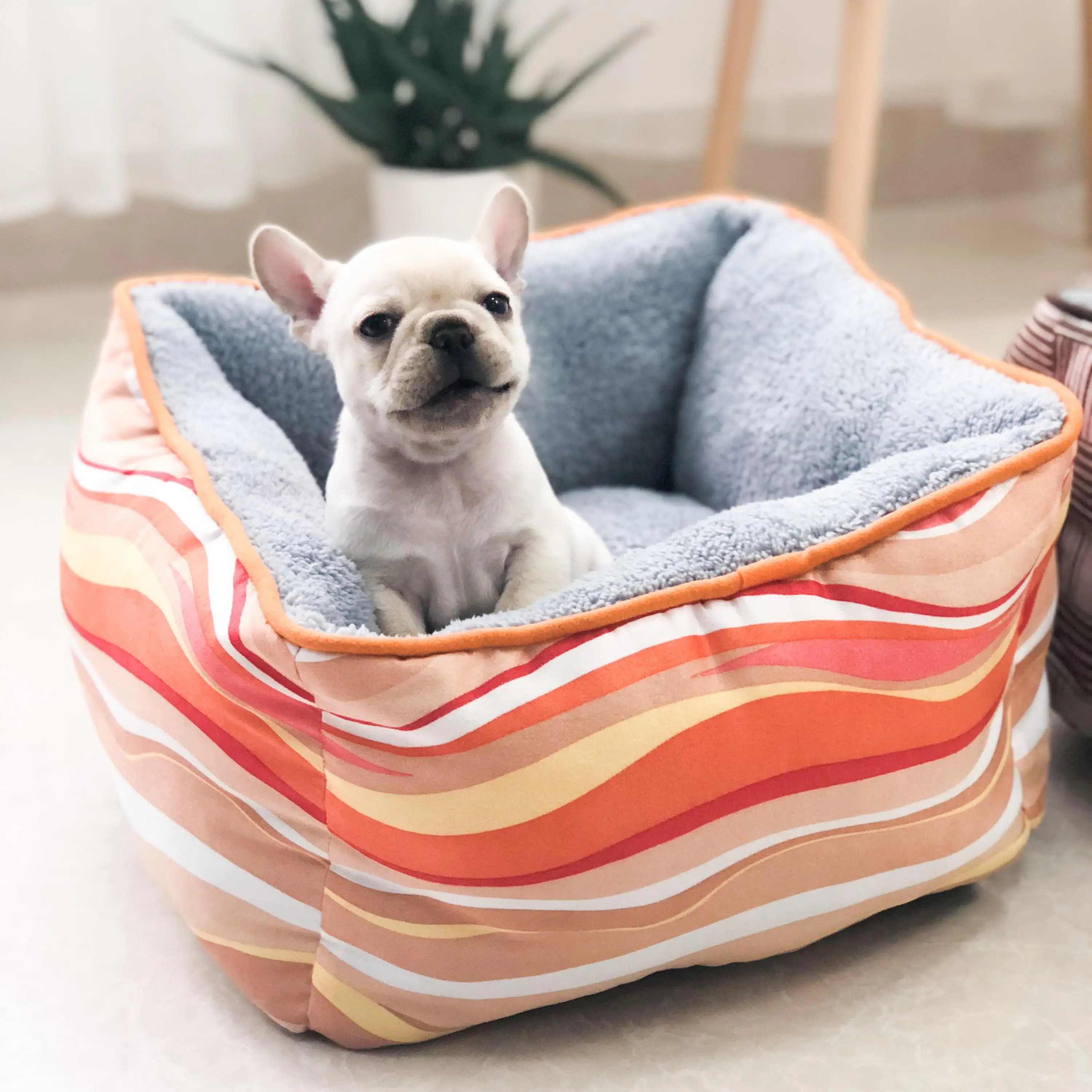 cats products for pets Thickening Plush Warm cat dog bed house Flannel Deep Sleep cat litter mat puppy blanket pitbull Dog House
cats products for pets Thickening Plush Warm cat dog bed house Flannel Deep Sleep cat litter mat puppy blanket pitbull Dog House