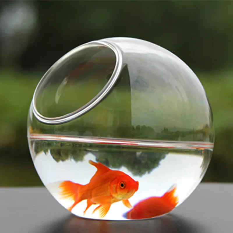 Diameter=15cm Big Size Transparent Glass Aquarium Home Decorative Handmade Table Fishbowl Glass Terrarium Gift Wedding Props
Diameter=15cm Big Size Transparent Glass Aquarium Home Decorative Handmade Table Fishbowl Glass Terrarium Gift Wedding Props