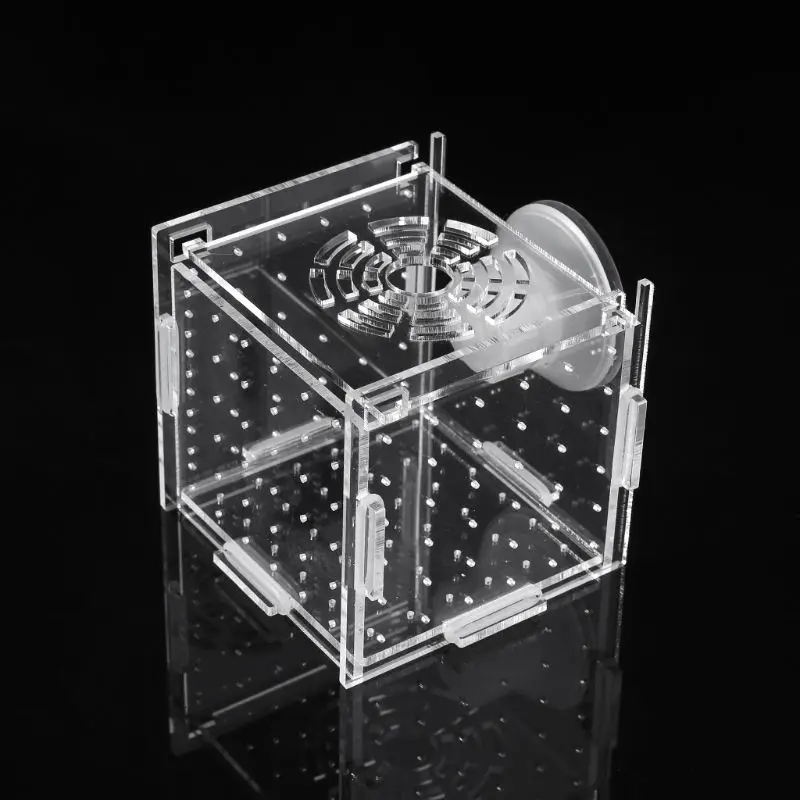 Aquarium Fish Breeding Isolation Box Baby Fish Incubator Hatch Breeder Fish Tank
Aquarium Fish Breeding Isolation Box Baby Fish Incubator Hatch Breeder Fish Tank