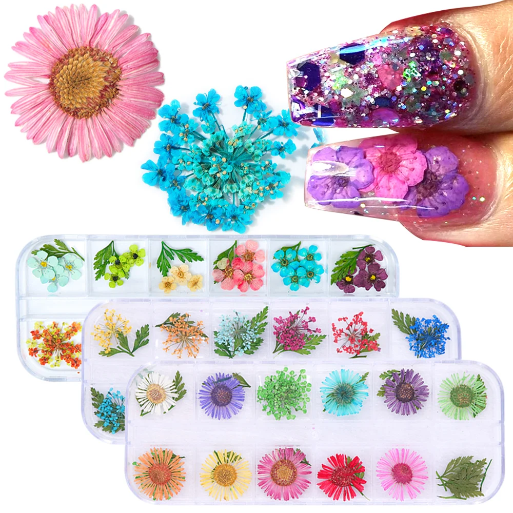 6pcs Real Nail Dried Flowers 3D Nail Art Decoration Mixed Blossom Preserved Floral Daisy Leaf Manicure Slices Decals Tips JIFL-1
6pcs Real Nail Dried Flowers 3D Nail Art Decoration Mixed Blossom Preserved Floral Daisy Leaf Manicure Slices Decals Tips JIFL-1