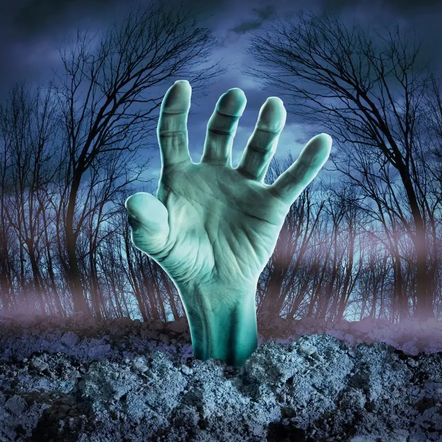 Laeacco Halloween Backdrops Photography Tomb Hand Tree Wild Outside Child Portrait Photographic Backgrounds Photocall Studio
Laeacco Halloween Backdrops Photography Tomb Hand Tree Wild Outside Child Portrait Photographic Backgrounds Photocall Studio