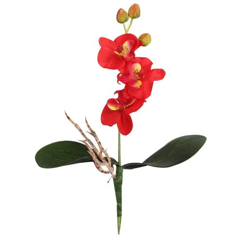 2019 New Year Hot Selling Triple Head Artificial Butterfly Orchid Silk Flower Home Wedding Decor Dropshiping &M925
2019 New Year Hot Selling Triple Head Artificial Butterfly Orchid Silk Flower Home Wedding Decor Dropshiping &M925