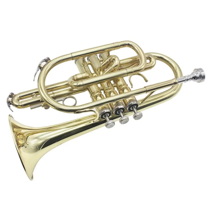 JM Cornet Professional Bb Flat Cornet Brass Top Musical Instruments with Carrying Case Gloves Cleaning Cloth Brushes cornet
JM Cornet Professional Bb Flat Cornet Brass Top Musical Instruments with Carrying Case Gloves Cleaning Cloth Brushes cornet