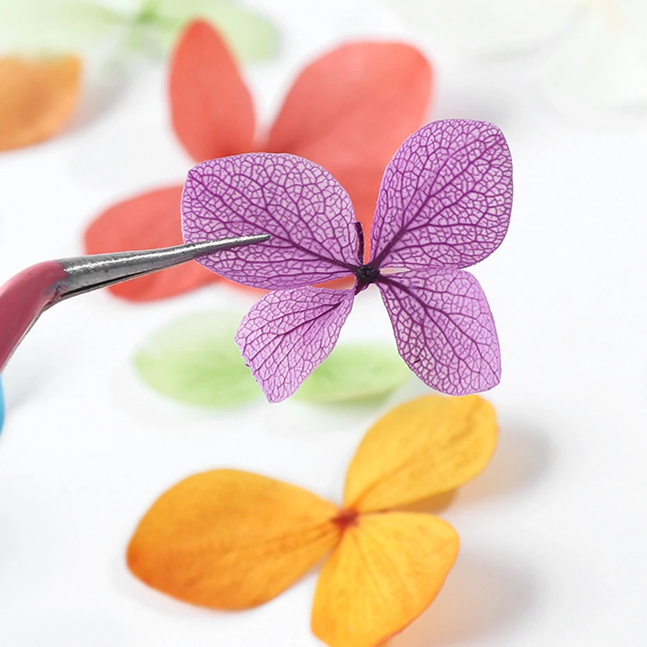 50pcs Nail Dried Flower 3D Nail Art Decorations Natural Real Stickers Sliders Manicure Design UV Gel Polish Jewelry Tips LA980 (5)