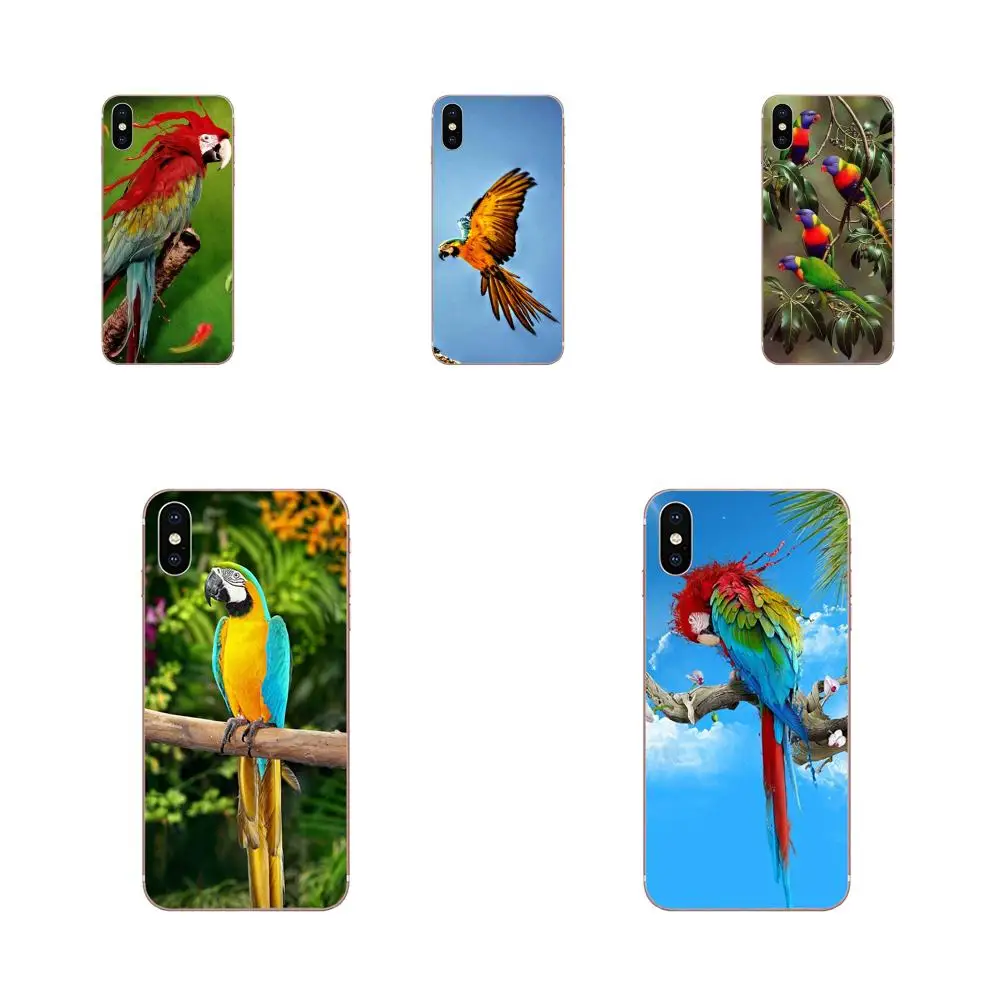 Soft TPU Accessories Case For Galaxy Alpha Note 3 4 10 A10 A20 A20E A30 A40 A50 A60 A70 A80 A90 M10 M20 M30 M40 Macaw Parrot
Soft TPU Accessories Case For Galaxy Alpha Note 3 4 10 A10 A20 A20E A30 A40 A50 A60 A70 A80 A90 M10 M20 M30 M40 Macaw Parrot