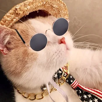 Pet Dog Cat Accessories Sunglasses Necklace Set Decoration Accessories 2019 Hot Sale New Dropshipping
Pet Dog Cat Accessories Sunglasses Necklace Set Decoration Accessories 2019 Hot Sale New Dropshipping